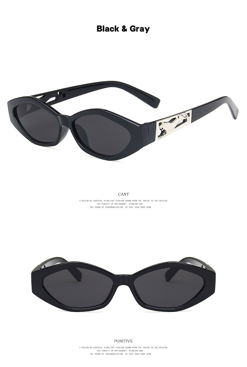 Small Square Sunglasses for Women Men Vintage Trendy Irregular Sunglasses