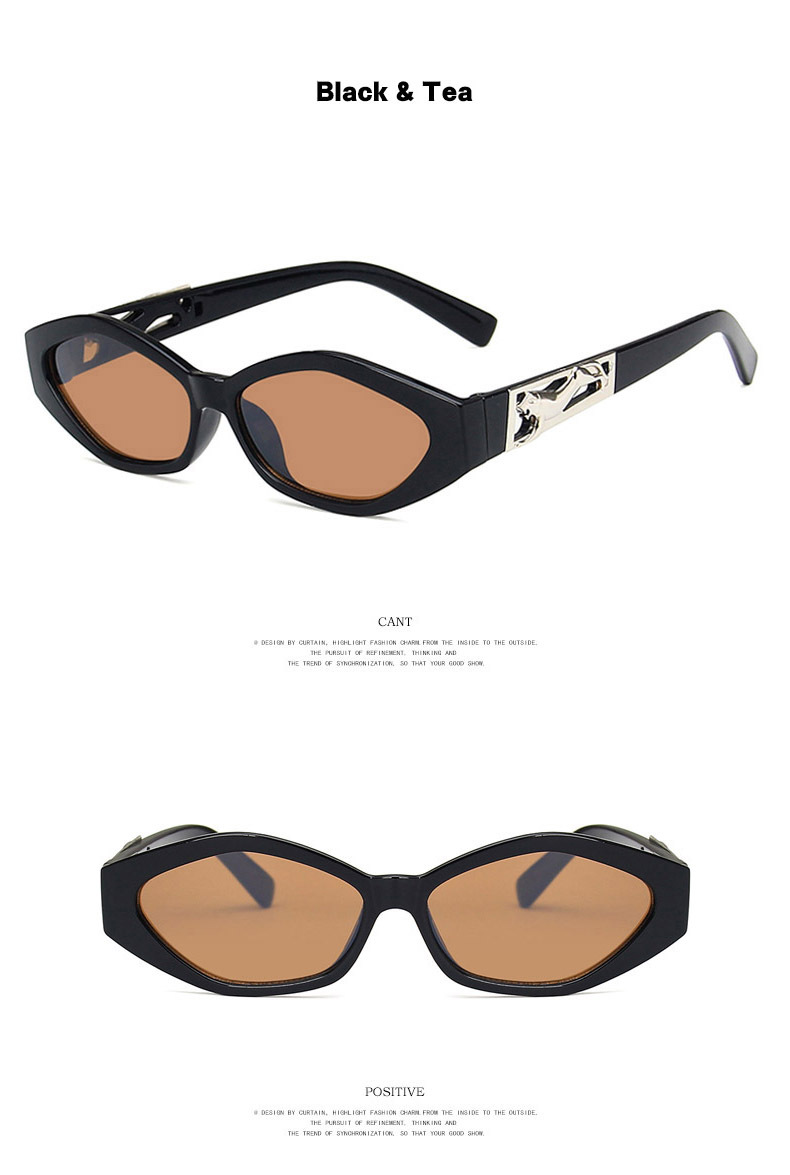 Small Square Sunglasses for Women Men Vintage Trendy Irregular Sunglasses