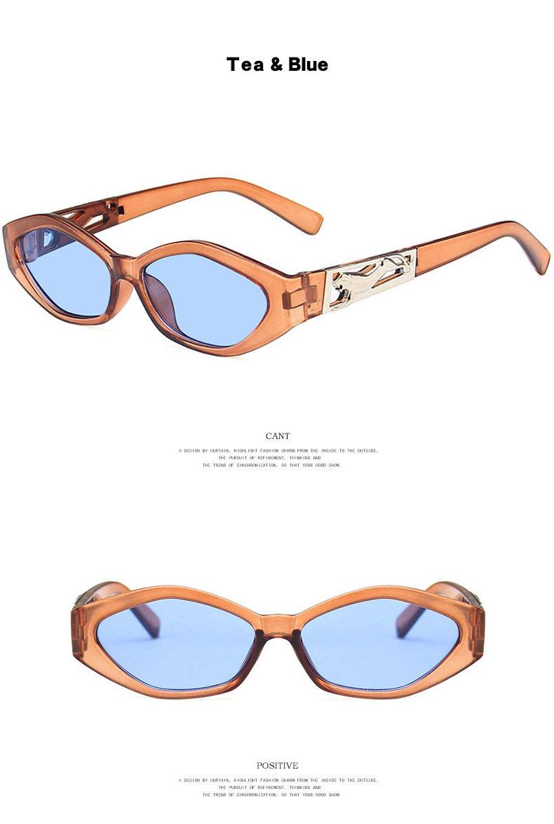 Small Square Sunglasses for Women Men Vintage Trendy Irregular Sunglasses