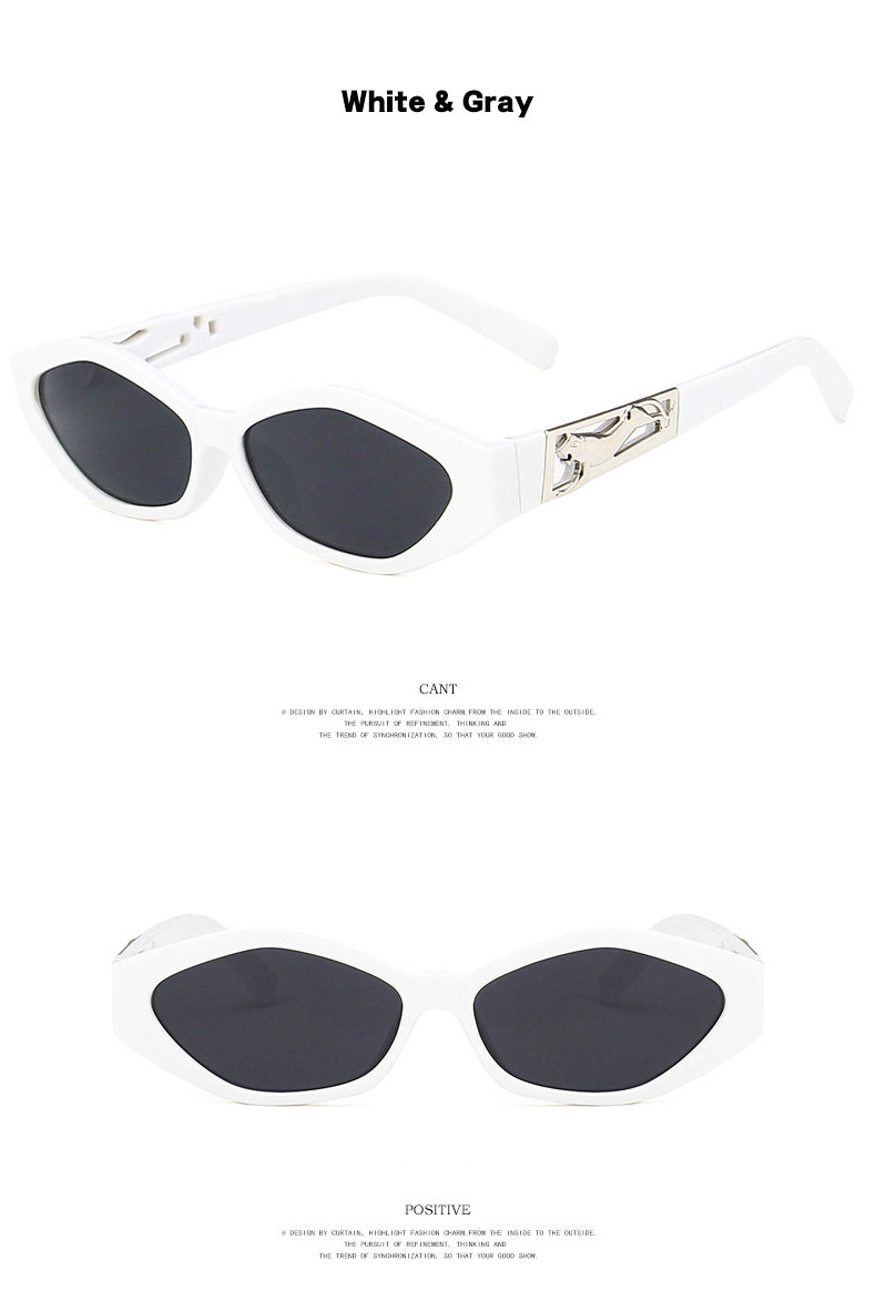 Small Square Sunglasses for Women Men Vintage Trendy Irregular Sunglasses